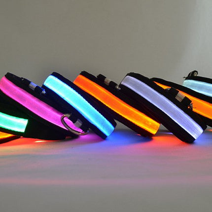 LED Light Up Dog Collar