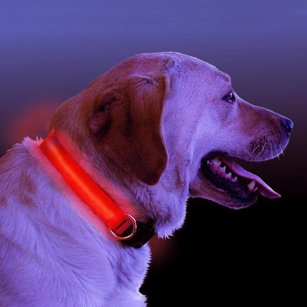 LED Light Up Dog Collar