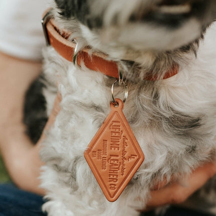 Leather Dog Collar - Classic