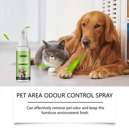 Cats And Dogs Deodorizing Spray 100ml Urine Odor Removal Air