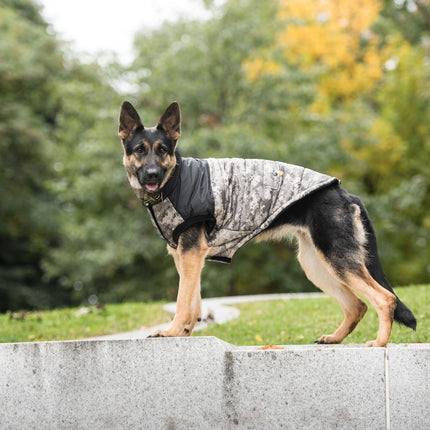 US Army Dog Jacket - Camo