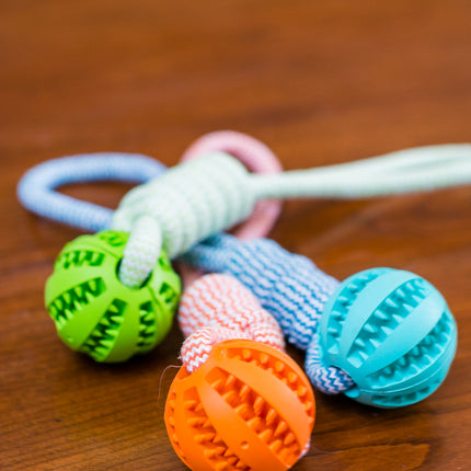 Durable Rubber Ball Chew Toy with Cotton Rope