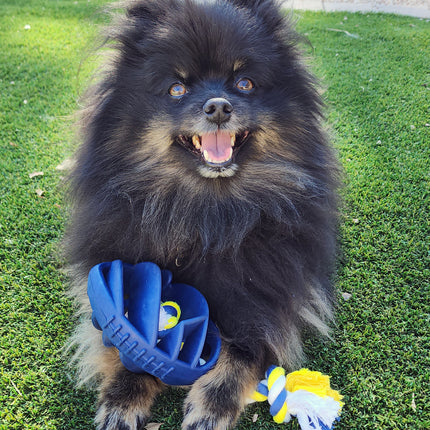 Rubber Football Dog Chew Toy with Tug Rope