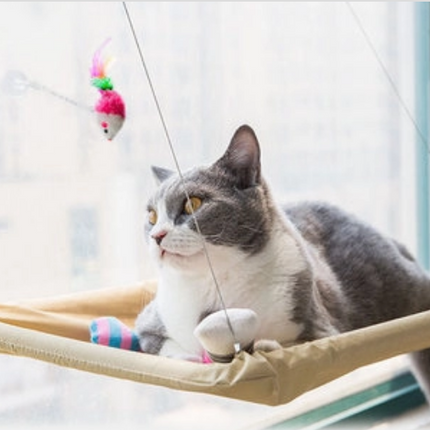 Cat Window Bed