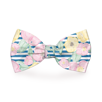 Preppy Pet Floral Dog Bow Tie