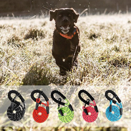 5 FT Leash With Comfortable Padded Handle and Reflective Threads